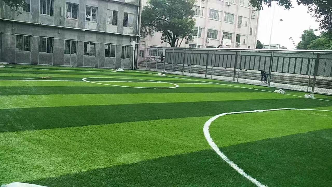 1.1..jpg 1.1..jpg