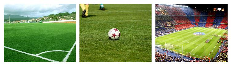 Synthetic Carpet Football