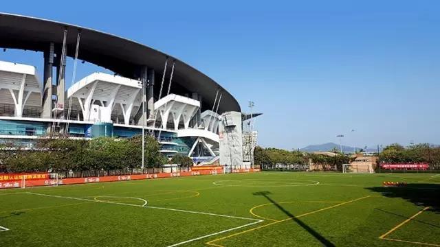 artificial grass soccer field