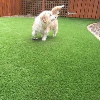 Umělá zelená tráva