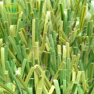 Tráva Pro Fotbalové Hřiště