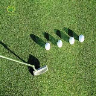 Syntetický trávník pro golfové hřiště