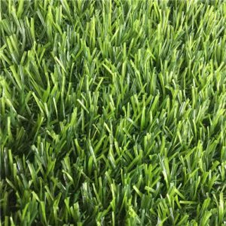 Levný venkovní trávník