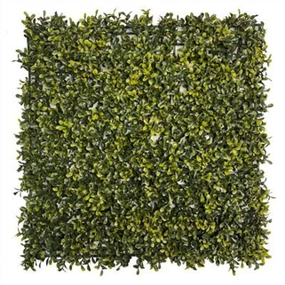 Umělé zimostrázové dřevo